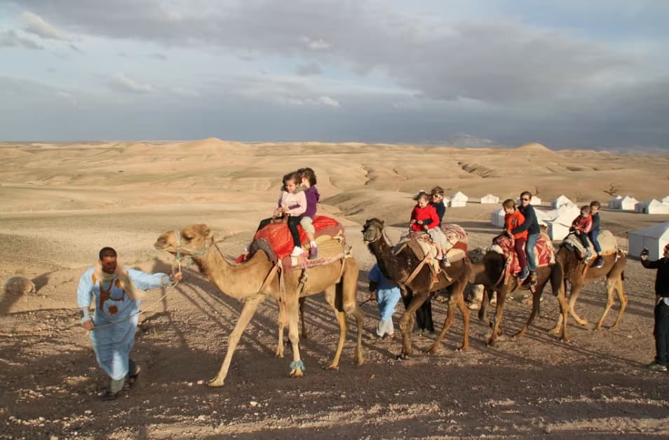 Desert Horizons: A Camel Journey in Agafay - Image 2