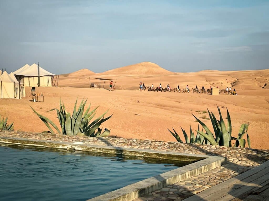 Desert Serenity and Lakeside Dreams: Agafay & Takerkoust (Privat) - Image 5