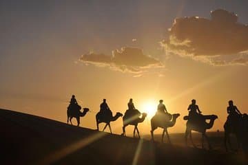 Desert Horizons: A Camel Journey in Agafay - Image 5