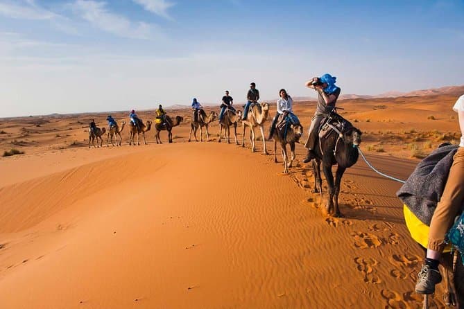 Golden Trails: Zagora Desert Adventure (group) - Image 2